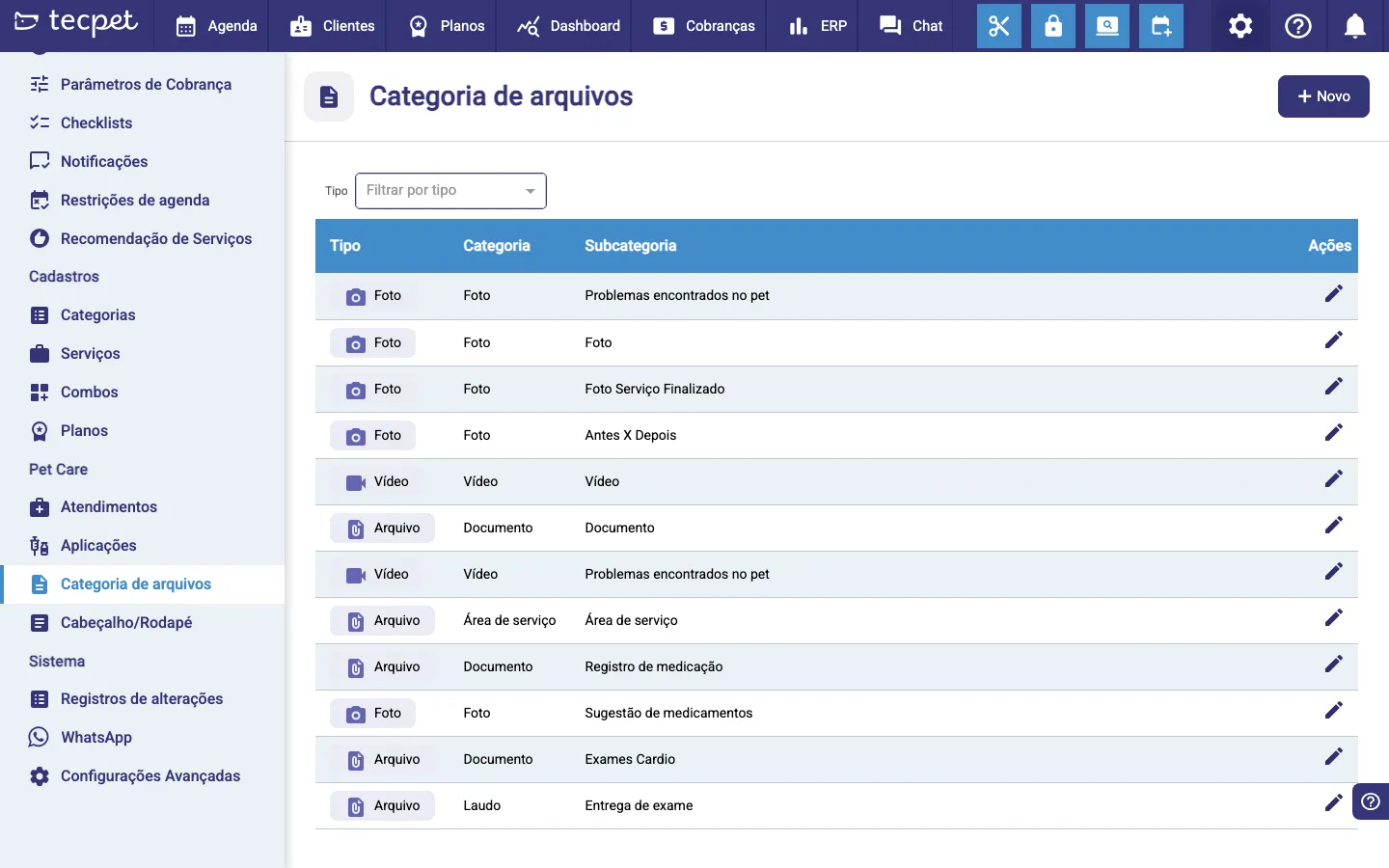 Tela Categoria de arquivos: lista com colunas Tipo, Categoria, Subcategoria e Ações, filtro por tipo e botão + Novo no canto superior direito