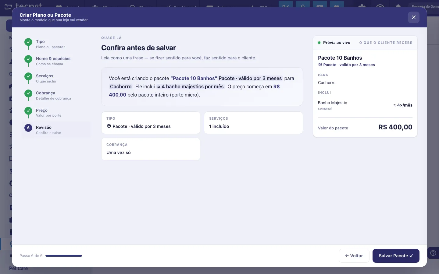 Passo 6 do assistente com o resumo em frase e os cartões de tipo, serviços e cobrança